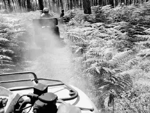 Rando Quad Landes