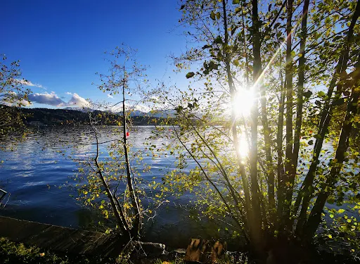 泰奇爾斯伯格阿沃斯