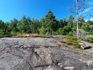 Aspeberget Rock Carvings