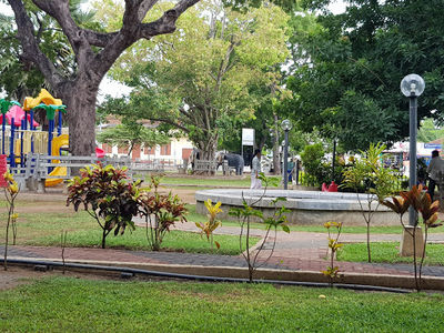 Old Park