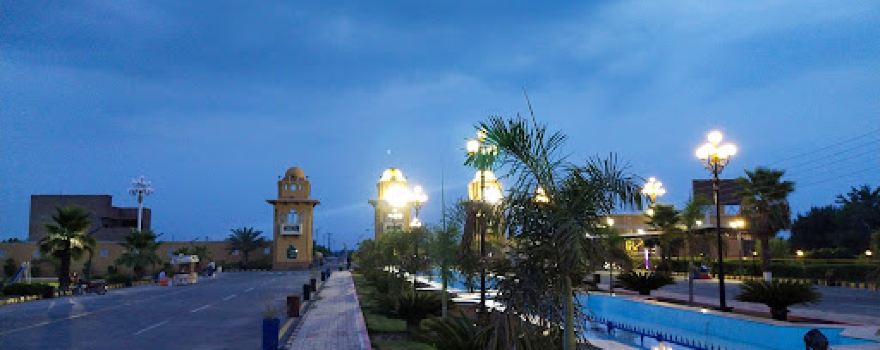 Royal_palm city