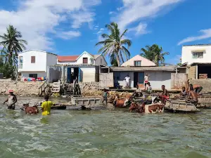 Anakao Express
