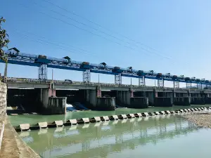Assan Barrage Bird Sanctuary