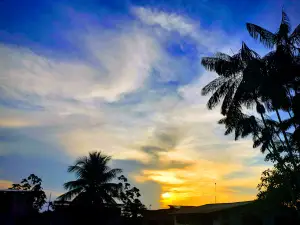 Orellana Park