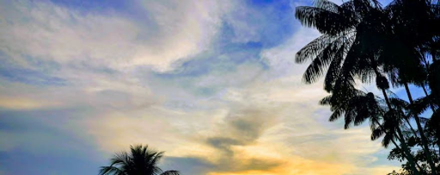 Orellana Park