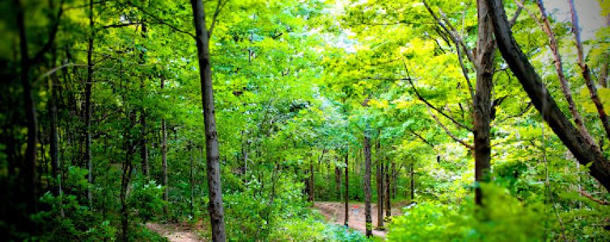 Oxbow Falls Park
