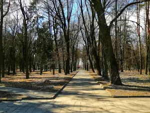 Old Park