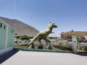 Parque Ccoritos 2