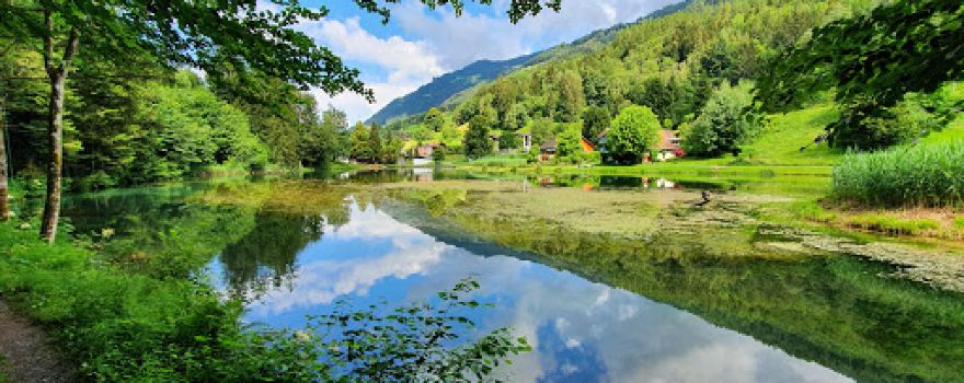 Fallersee