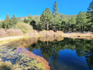 Cimarron Canyon State Park