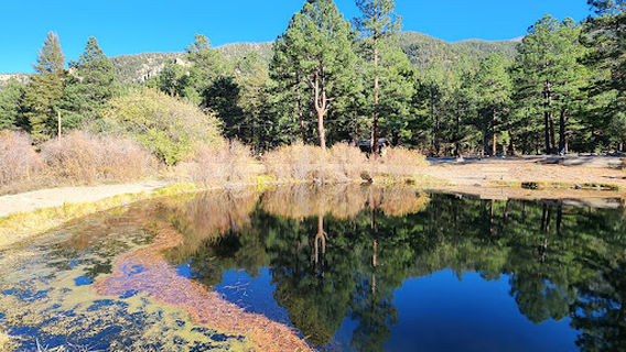 Cimarron Canyon State Park