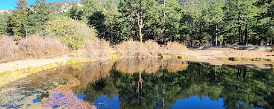 Cimarron Canyon State Park