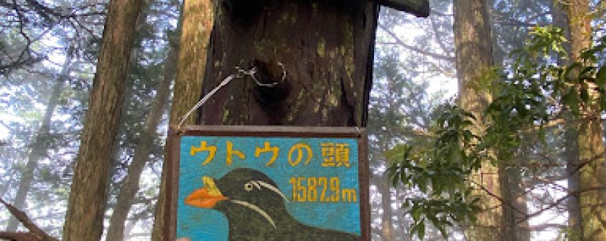 Utonoatama