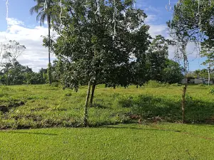 Plaza Rio Jimenez