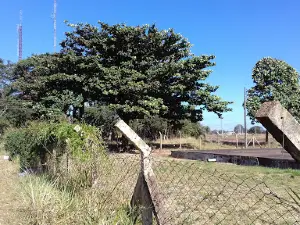 Estádio Adoniro Capanema