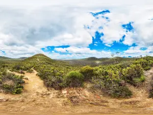 Central Lookout