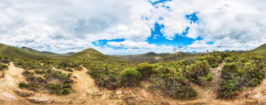 Central Lookout