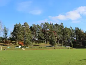 Viesītes pilsētas stadions
