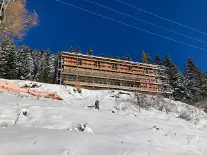 Planinsko društvo Mozirje