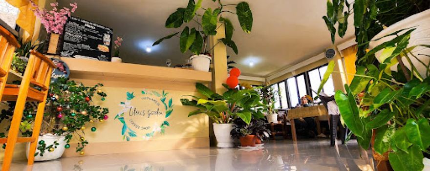 Lilou's Garden and Vietnamese Cafe