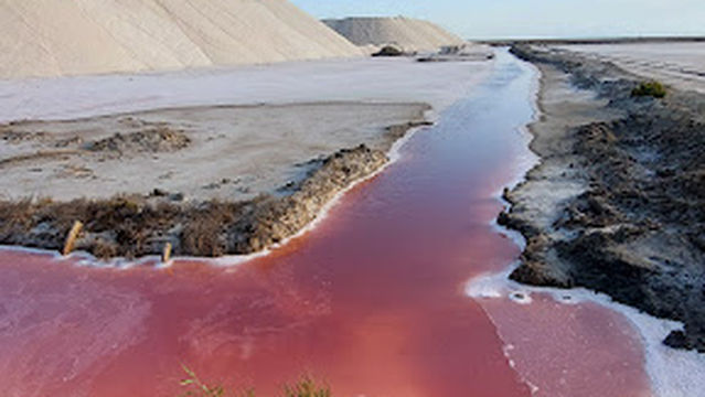 Piémanson – Plage d’Arles