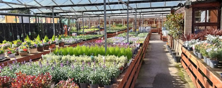 Kempston Nurseries
