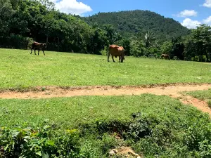 Balneario Acapulco