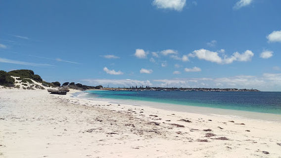 Đảo Rottnest