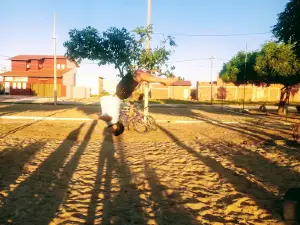 Pista de skate
