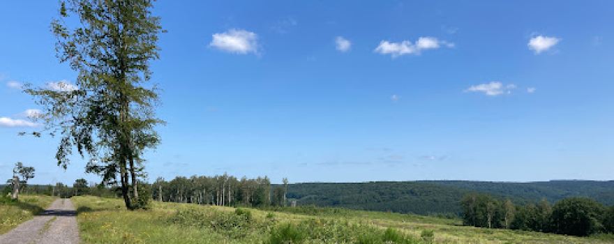 Point de vue du Belvédère de Wellin