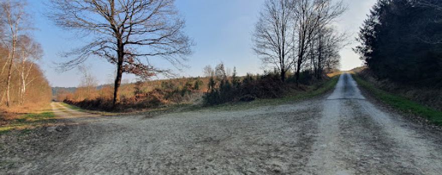 Forêt de Loudéac - Croisée des Prés de Rivières