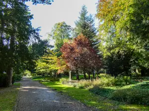 Botanischer Garten