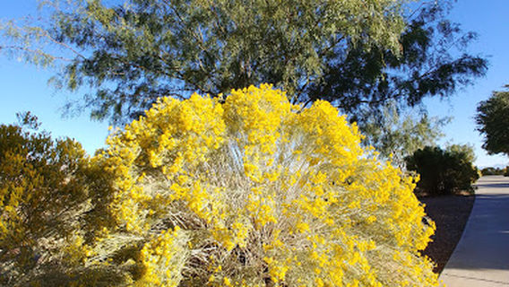 Walleck Ranch Neighborhood Park
