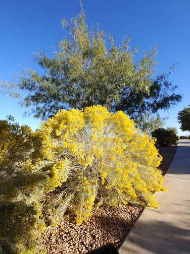 Walleck Ranch Neighborhood Park