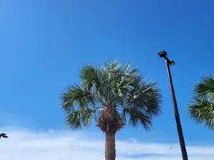 Sunshine Plaza