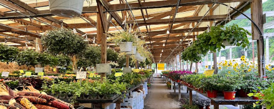 Mc Tighe's Garden Center