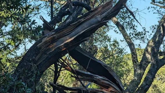 Teague Hill Open Space Preserve