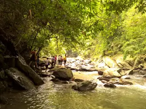 khu du lịch suối cặm sa lý