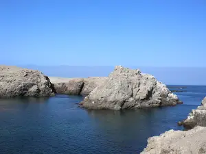 Arantas de Quilca