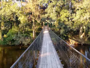 Rio São João