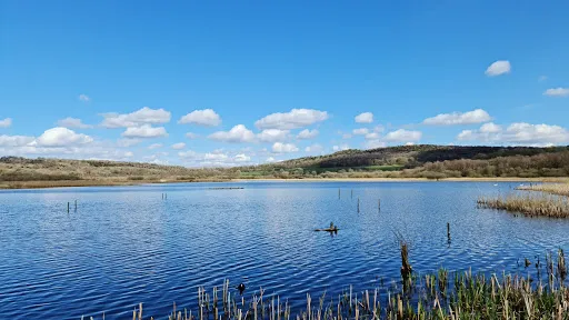 Arnside & Silverdale National Landscape