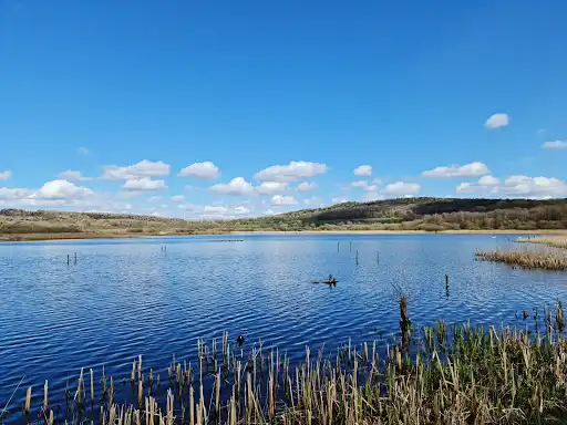 Arnside & Silverdale National Landscape