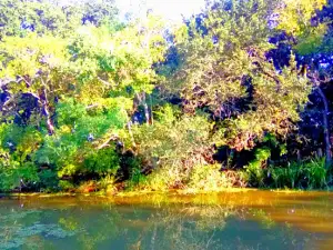 Oak Ridge Community Park