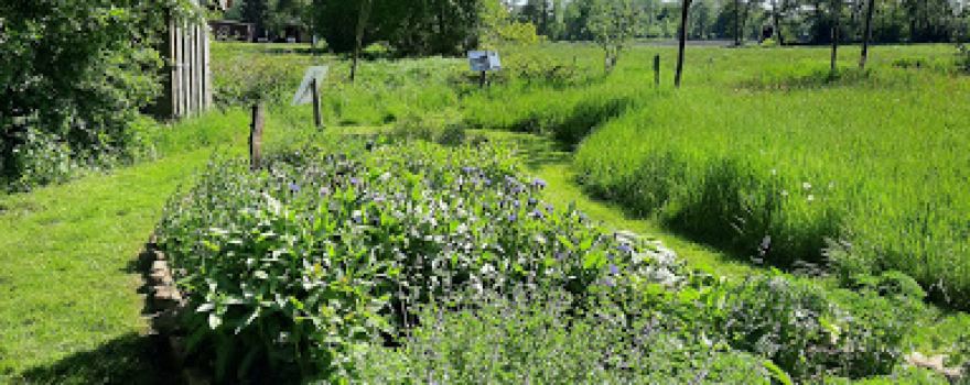 Befis Naturgarten
