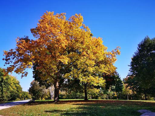 Donau Park