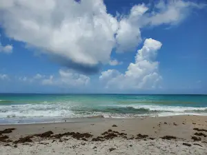 Juan Ponce de León Landing
