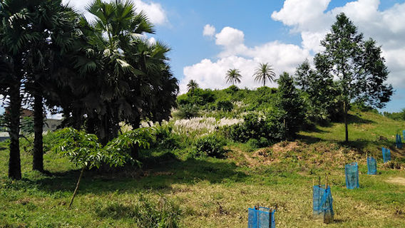 Central Field - Comilla University