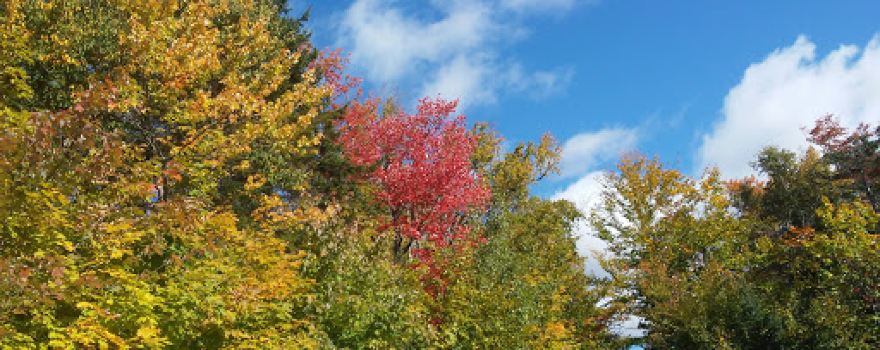Blueberry Mountain Trailhead