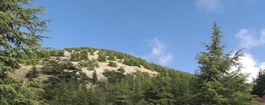 Arz el Barouk