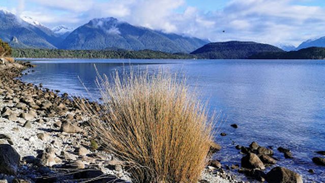 Moray Terrace Reserve Freedom Camping